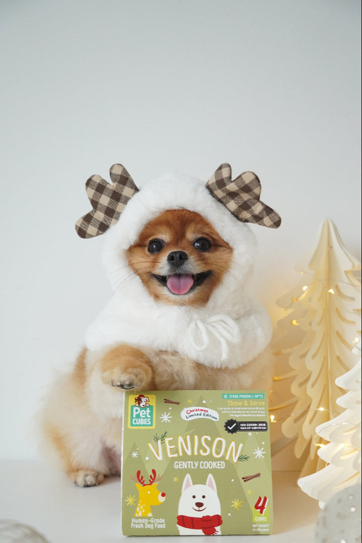 HOLIDAY FEAST FOR YOUR PETS!