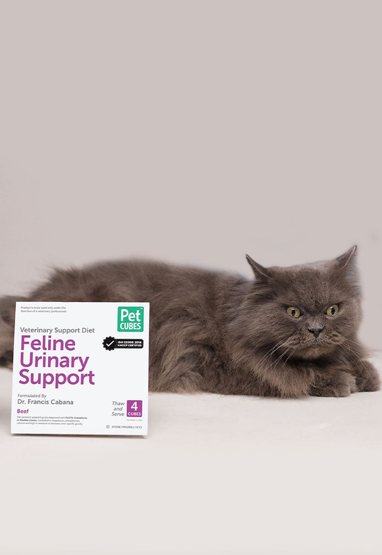 Feline Support Diets