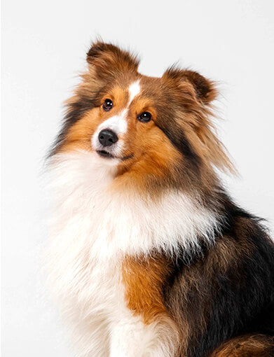 Mass in Oesophagus and Lungs