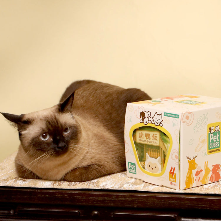 Braised Duck Rice for Cats (Case Bundle)