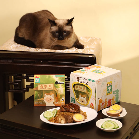 Braised Duck Rice for Cats (Case Bundle)