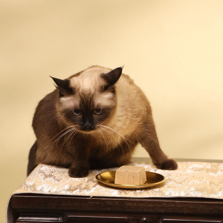 Braised Duck Rice for Cats (Tray)