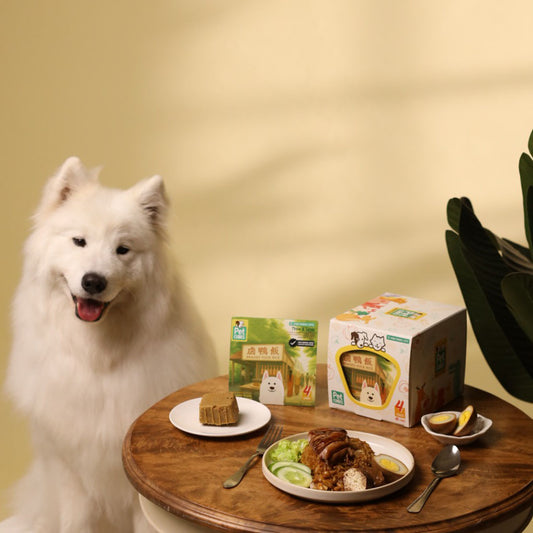 Braised Duck Rice for Dogs (Case Bundle)