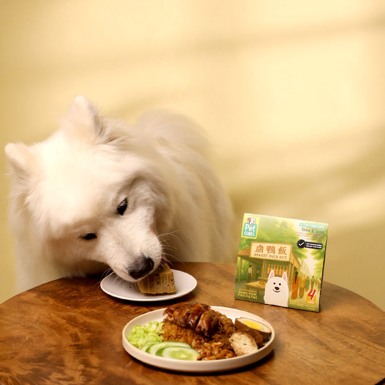 Braised Duck Rice for Dogs (Tray)