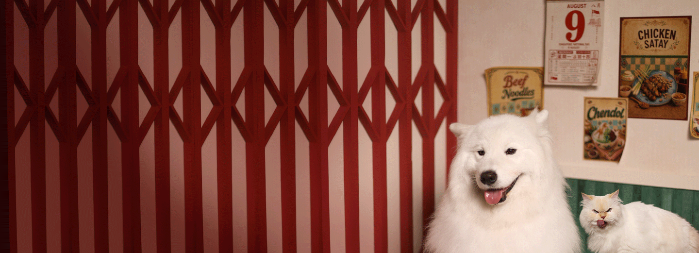 Shiok Moments for Every Furkid