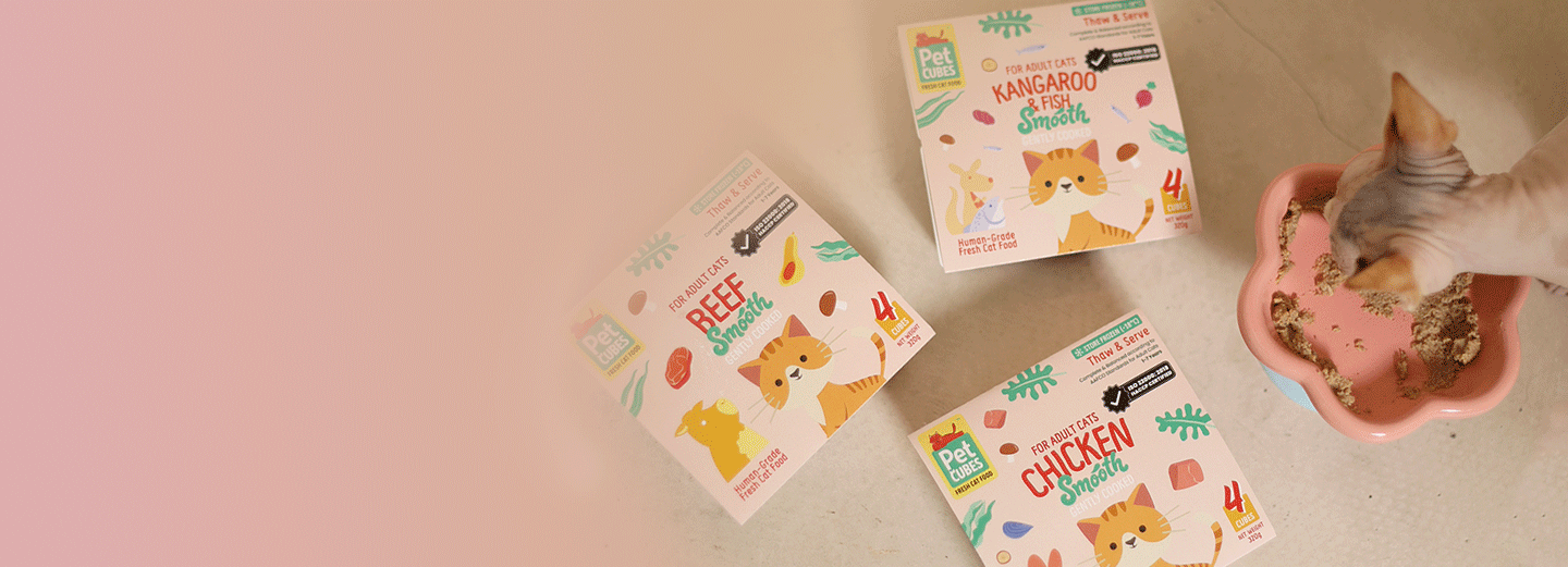 Ready to find<br> a meal your <br> cat will love?
