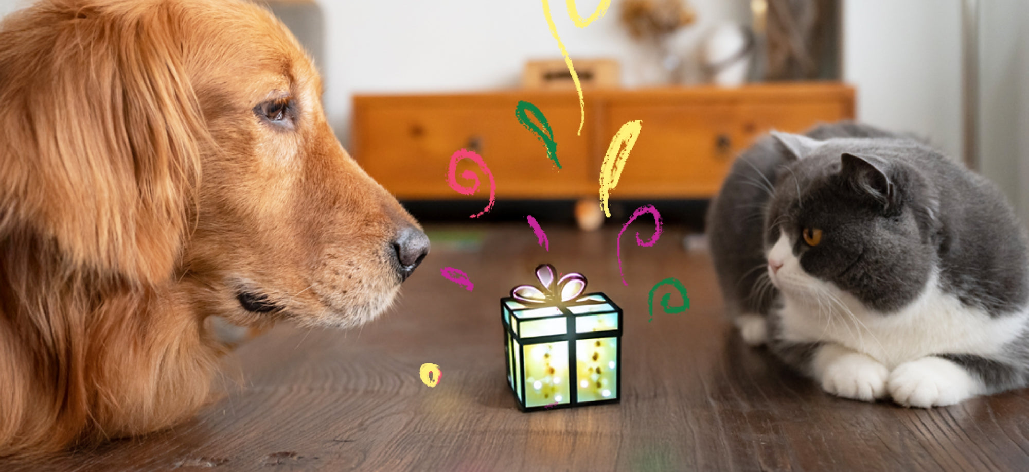 PetCubes Supplement Range