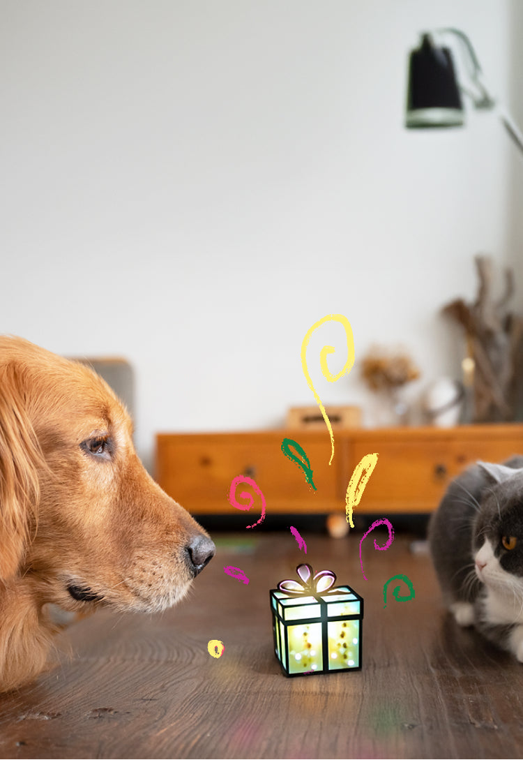 PetCubes Supplement Range