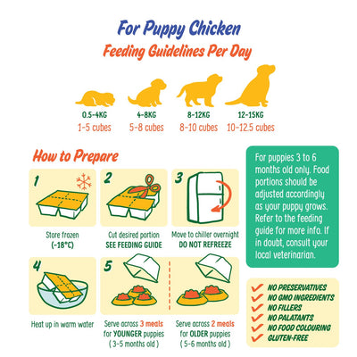 BYOB Puppy