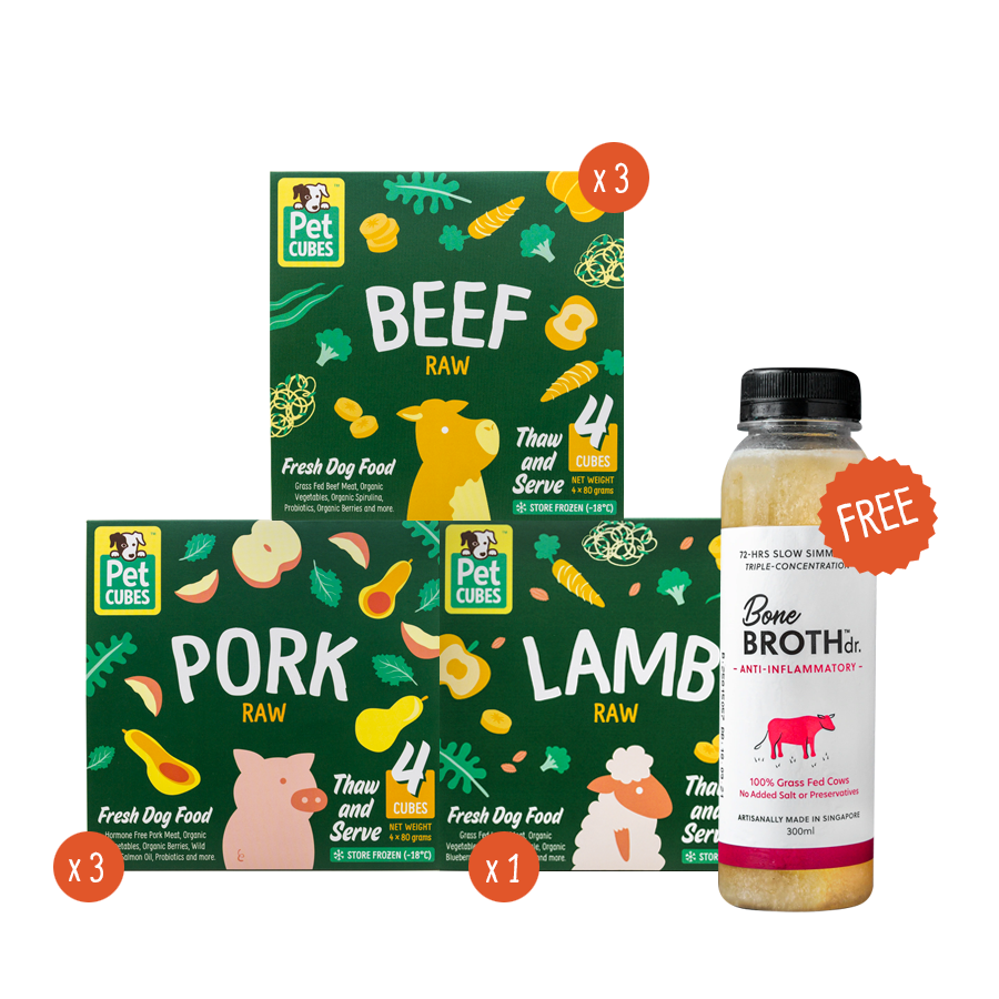 Raw Bundle